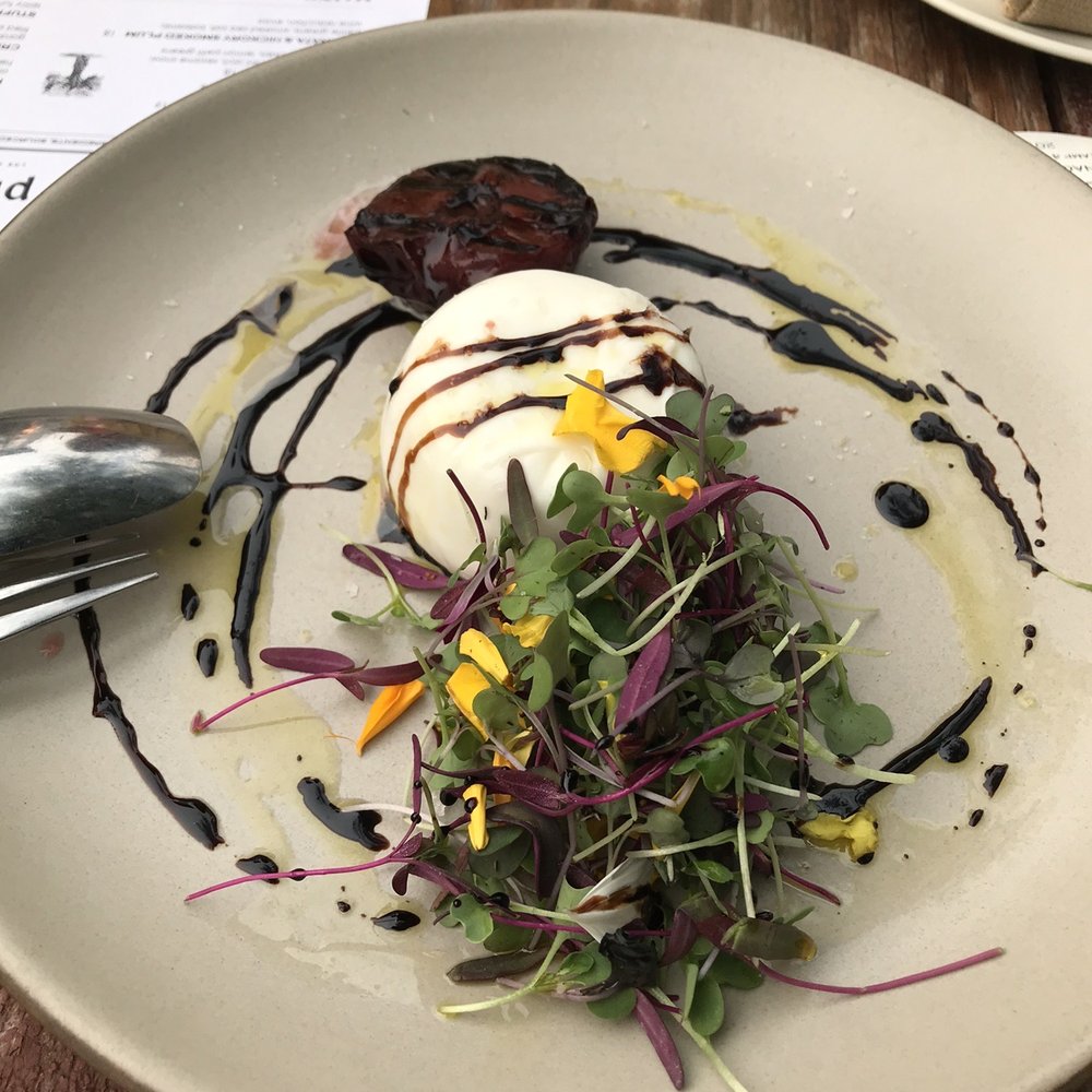 Pico - Burrata - Wine Bars Near Me - Los Alamos, California Pico - Burrata - Wine Bars Near Me - Los Alamos, California