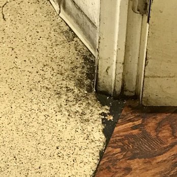 Big Sai's Hawaiian BBQ - Kitchen floor / wall. - Hawaiian Near Me - Layton, Utah
