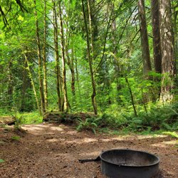 Squire Creek Park