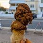 Photo of Scoops
