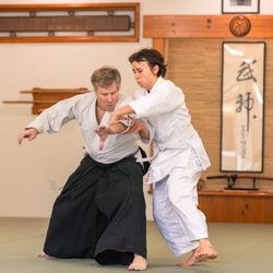 Aikido Daiwa