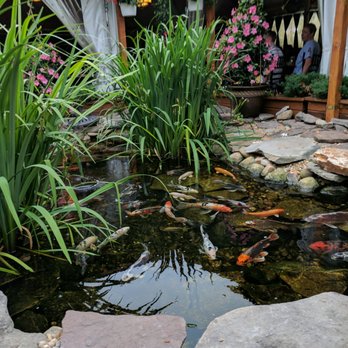 Los Andes Restaurant - The patio - Latin American Near Me - Providence, Rhode Island Los Andes Restaurant - The patio - Latin American Near Me - Providence, Rhode Island