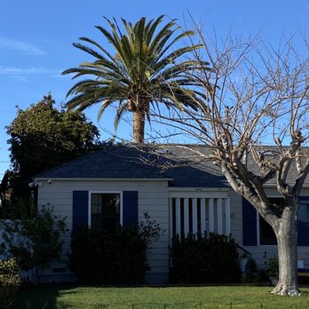 Jesus Higuera Tree Service - AFTER - Tree Services Near Me Jesus Higuera Tree Service - AFTER - Tree Services Near Me