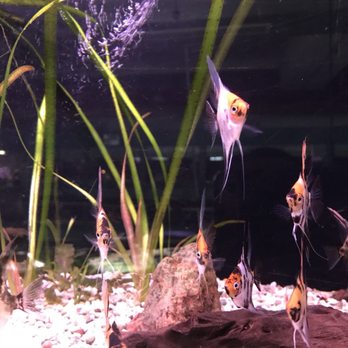Zoo Thomas - Pet Stores Near Me - Hilden, NW