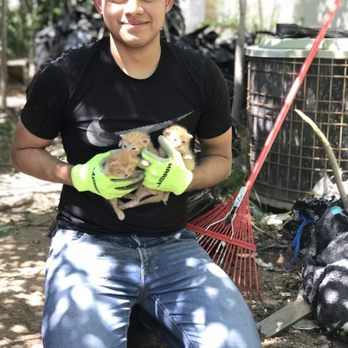 Junk Express Services - Here's a look at what Antonio found during a Clean Out in Odessa, Texas. Cute kittens. - Junk Removal & Hauling Near Me Junk Express Services - Here's a look at what Antonio found during a Clean Out in Odessa, Texas. Cute kittens. - Junk Removal & Hauling Near Me