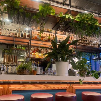 The Broken Cage - So cute! - Cocktail Bars Near Me - Denver, Colorado