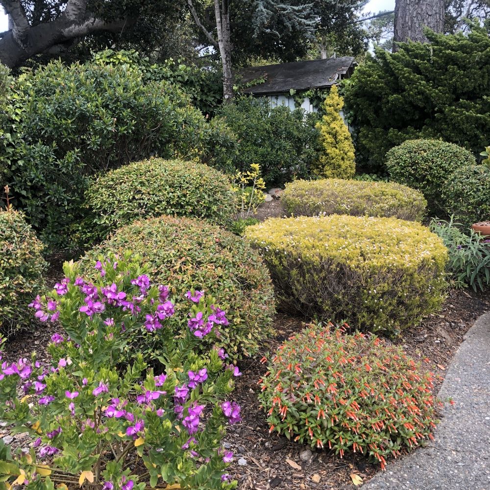 Carmel Bay View Inn - Patio view - Hotels Near Me - Carmel, California Carmel Bay View Inn - Patio view - Hotels Near Me - Carmel, California
