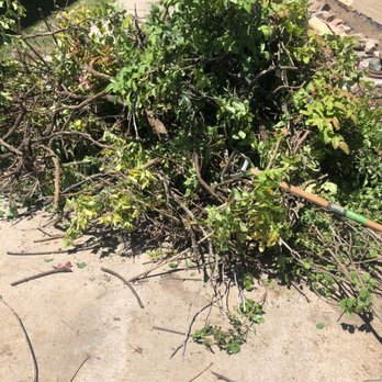 Somes Gotta Do It - Removal of trees - Gutter Services Near Me - Brighton, Colorado