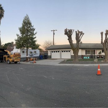 The Tree Guys LLC - Tree Services Near Me