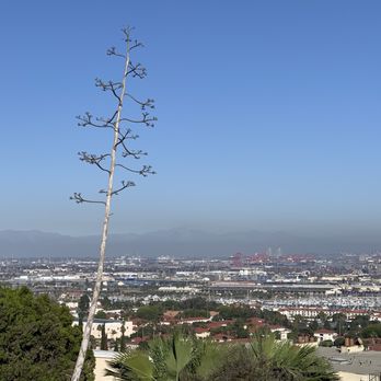 Lookout Point Park - Parks Near Me - San Pedro, California Lookout Point Park - Parks Near Me - San Pedro, California