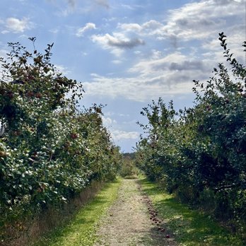 Fireside Orchard & Gardens - Apple picking! - Fruits & Veggies Near Me - Northfield, Minnesota Fireside Orchard & Gardens - Apple picking! - Fruits & Veggies Near Me - Northfield, Minnesota