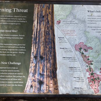 General Sherman Tree - Information Sign 07-04-2025 - Hiking Near Me - Sequoia National Park, California General Sherman Tree - Information Sign 07-04-2025 - Hiking Near Me - Sequoia National Park, California