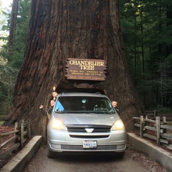 Drive-Thru Tree - Parks Near Me - Leggett, California Drive-Thru Tree - Parks Near Me - Leggett, California