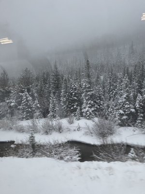 Emeryville Amtrak Station by null