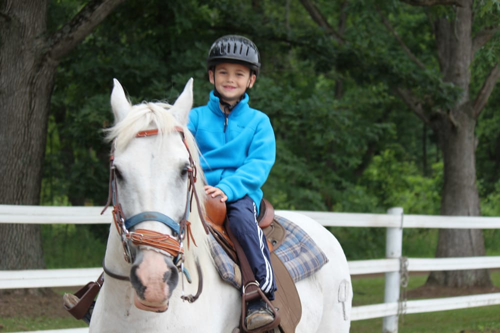 Wildwood Ranch - equestrian in Howell, MI