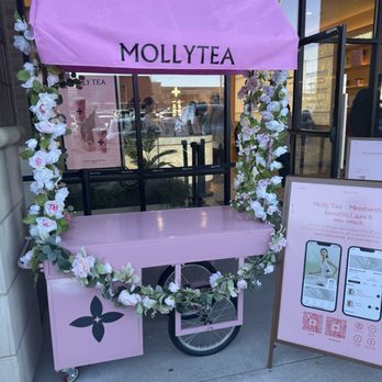 Molly Tea - Coffee & Tea Near Me - Atlanta, Georgia