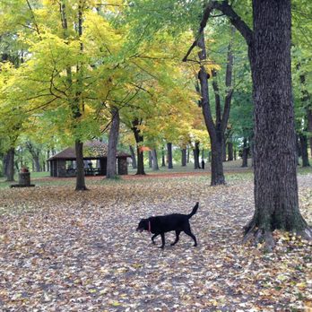 Ellicott Creek Island Park - Nikita - Dog Parks Near Me - Amherst, New York Ellicott Creek Island Park - Nikita - Dog Parks Near Me - Amherst, New York