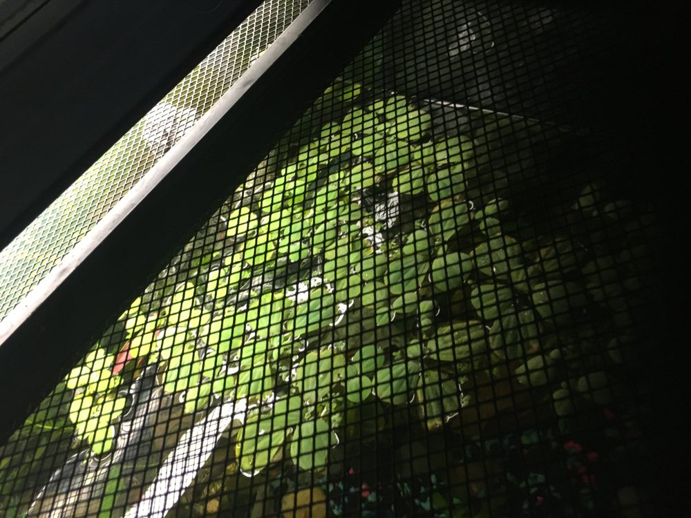 FRESHWATER FISH 4750 Calle Las Positas, Oceanside, California Local