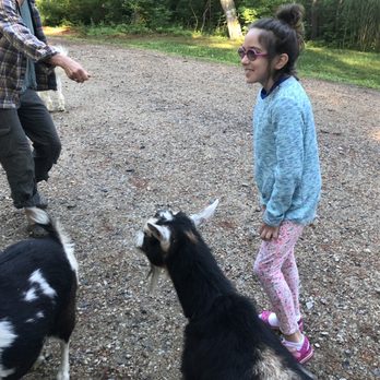 Shilo Farm - Getting ready to run with the goats. Love this place! - Vacation Rentals Near Me - Eliot, Maine