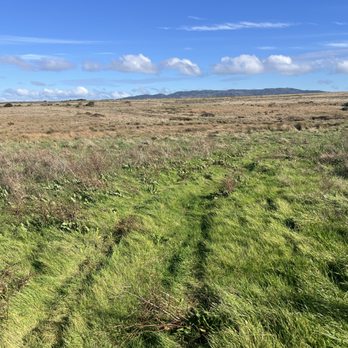Bull Point Trail - Hiking Near Me - Inverness, California Bull Point Trail - Hiking Near Me - Inverness, California