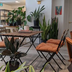 Haus of Plants - Seating and plants