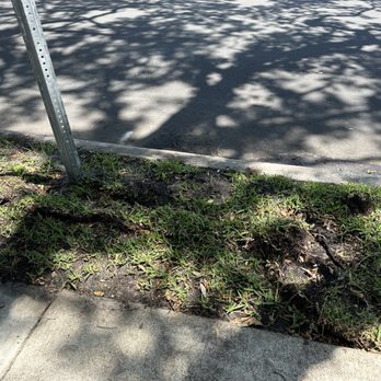 Irrigation King's Landscaping Services - Irrigation Near Me Irrigation King's Landscaping Services - Irrigation Near Me