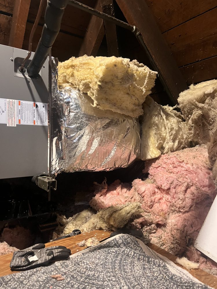 Slide of Boston Standard Company