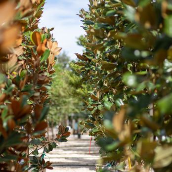 Moon Valley Nurseries - Landscaping Near Me - Torrance, California