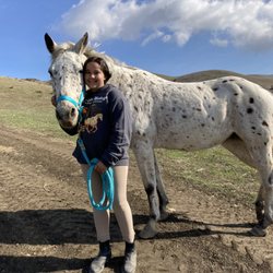 My first horse!
