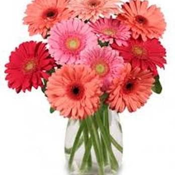 Mainland Floral - Florists Near Me - Galveston, Texas Mainland Floral - Florists Near Me - Galveston, Texas