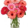 Photo of Mainland Floral
