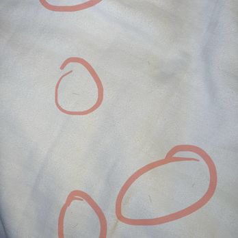 The Sofia Hotel - Hairs and dirt on bed sheets - Hotels Near Me - San Diego, California The Sofia Hotel - Hairs and dirt on bed sheets - Hotels Near Me - San Diego, California
