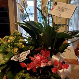 Planter basket arrangement (5/9/22)
