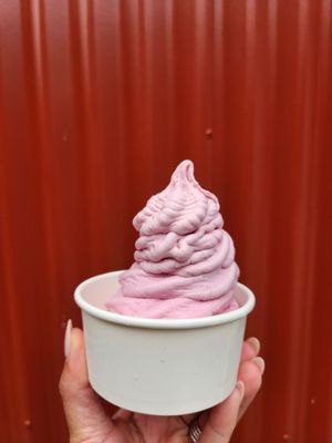 Nico’s Ice Cream by null