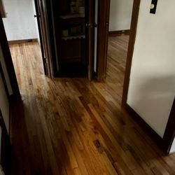 Ideal Wood Flooring - Wish we had taken before and after shots. These floors were covered with carpet for probably 60 years.