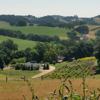 Orchard Hill - Orchard Hill Farm - Bed & Breakfast Near Me - Paso Robles, California Orchard Hill - Orchard Hill Farm - Bed & Breakfast Near Me - Paso Robles, California