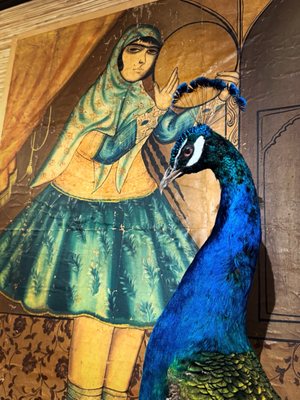 Creel and Gow by null