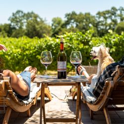Enriquez Estate Wines