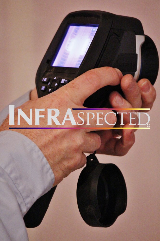 Integrity Home Inspection - mold inspector in Peoria, IL