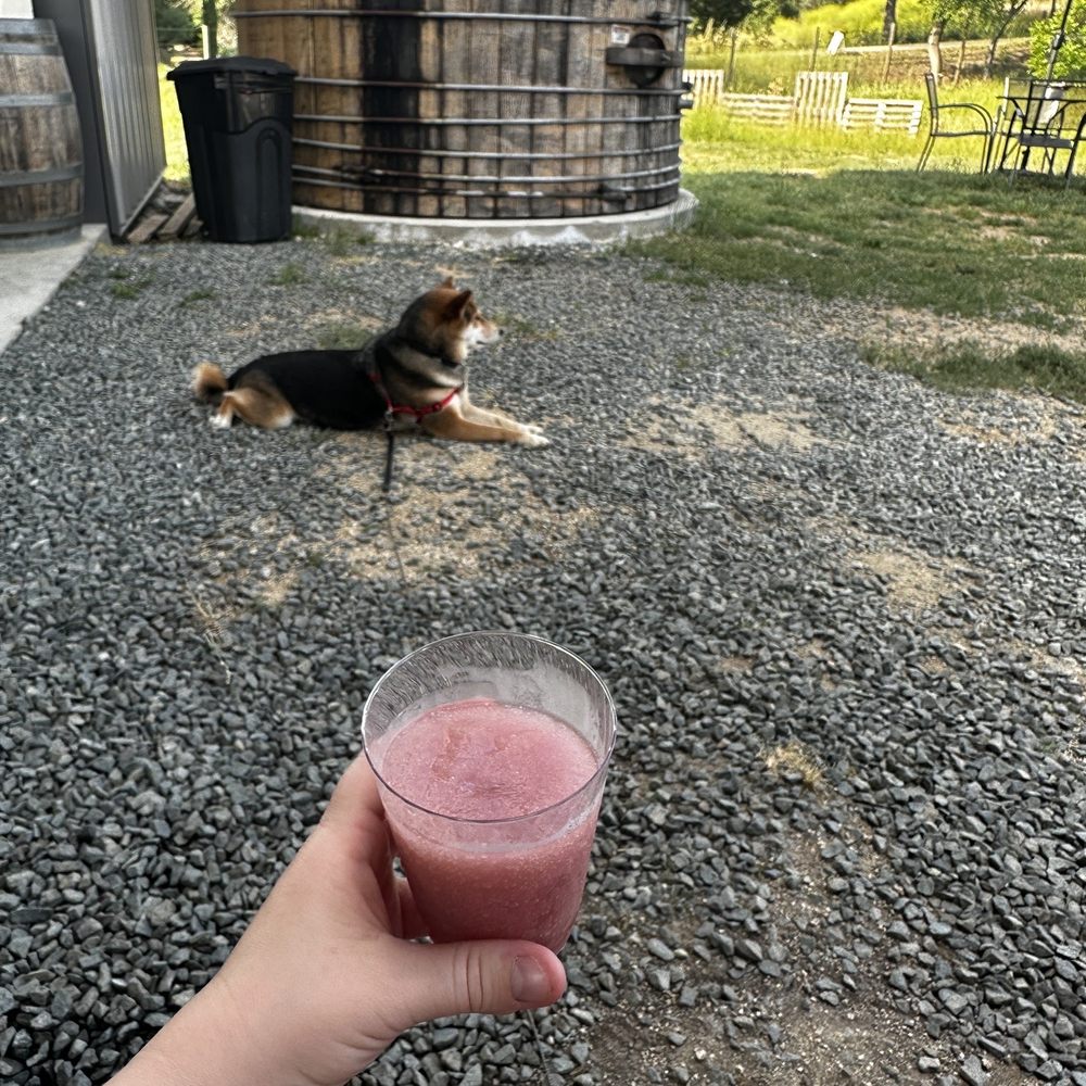 Smokin' Barrel Winery - Shaded seating area, dog friendly - Wineries Near Me - Lincoln, California