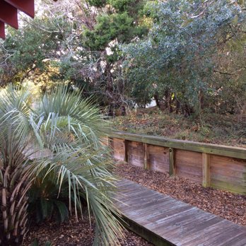 The Hammocks - Landscape behind complex - Vacation Rentals Near Me - Bald Head Island, North Carolina The Hammocks - Landscape behind complex - Vacation Rentals Near Me - Bald Head Island, North Carolina