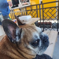 Harbor Trail Brewing Company