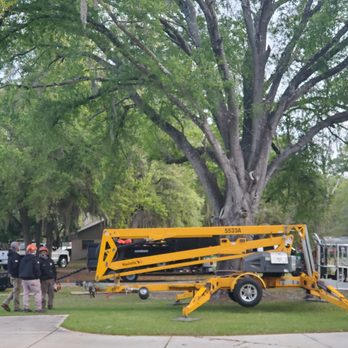 First Choice Tree Service & More - Ready to work! - Tree Services Near Me First Choice Tree Service & More - Ready to work! - Tree Services Near Me