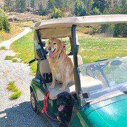 Northeast Harbor Golf Club