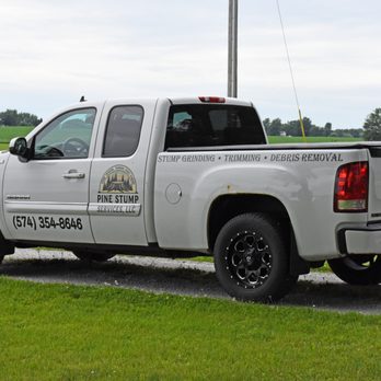 Pine Stump Services - Tree Services Near Me Pine Stump Services - Tree Services Near Me