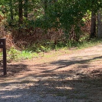 Bogue Chitto State Park - Trailhead - Campgrounds Near Me - Franklinton, Louisiana Bogue Chitto State Park - Trailhead - Campgrounds Near Me - Franklinton, Louisiana