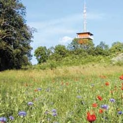 Kurverwaltung Thiessow