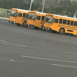 Elk Grove High School - The bus they boarded