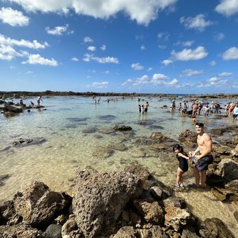 Shark's Cove - Beaches Near Me - Haleiwa, Hawaii Shark's Cove - Beaches Near Me - Haleiwa, Hawaii