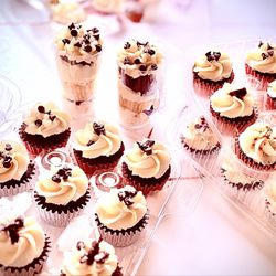 Mangia Baby Italian Cupcakes